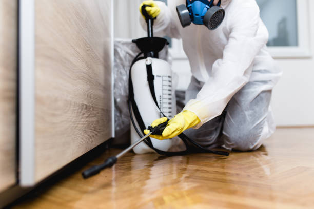Wasp Removal Services in Suffolk, VA