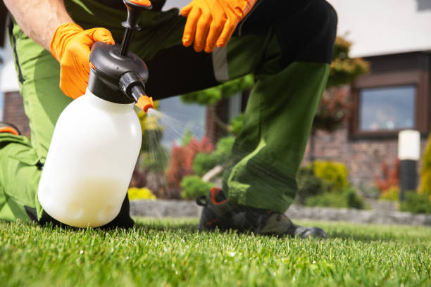 Insect Control in Suffolk, VA