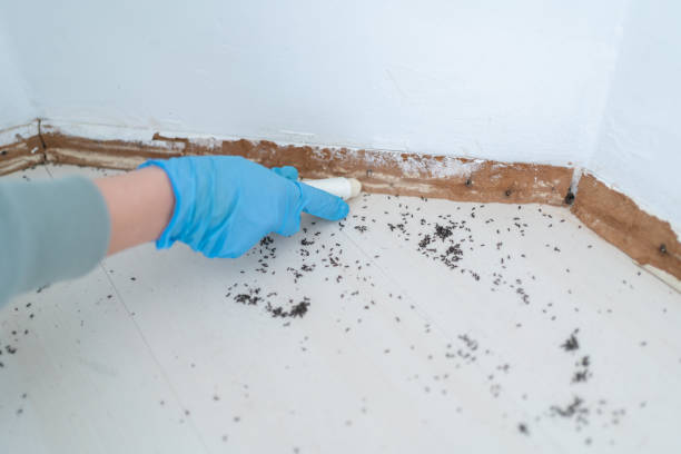 Best Pest Removal Services  in Suffolk, VA